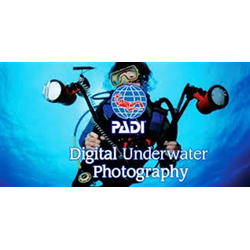 Underwater Digital Photographer